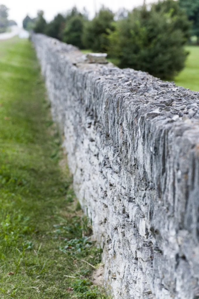 a dried limestone rock fence.